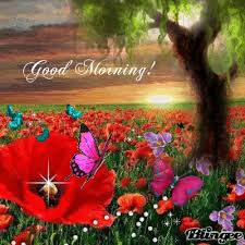 105+ best  good morning flowers with wishes images  2021 pictures greetings ideas by wishes9 on saturday, july 3, 2021 in good morning flowers images, you will find greeting cards with wishes, quotes, pictures for a morning full of beautiful flowers. Good Morning Quote Flowers Friend Good Morning Greeting Morning Quote Good Morning Picture Morning Pictures Good Morning Quotes