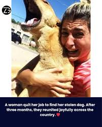 Oh I love strawberry ❤️