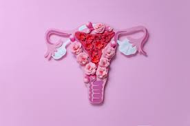 Experiments on two species demonstrated that the sclerotised hollow organs, such as the quadriloculate male copulatory organ and the vagina. Female Reproductive Organs Mydr
