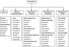 Image result for Extended Spectrum Penicillin