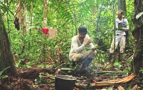 Er ist der größte zusammenhängende tropenwald der erde und wichtig für das weltklima. Mit Lenin Im Peruanischen Amazonas Regenwald Peru Reisebericht Reisedepeschen