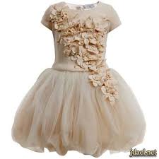فساتين العيد للبنات الاطفال بموديلات الورد البارز على الاورجنزا Gorgeous Girls Dresses Childrens Ball Gowns Pink Tulle Dress