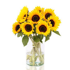 Bloemen Bestellen Bloemen Bezorgen Zonnige Bos Verse Zonnebloemen