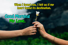 Maybe you would like to learn more about one of these? Good Morning Flowers Good Morning Fun