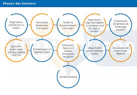 Check spelling or type a new query. Sterbebegleitung In Der Pflege Das Sollten Pflegekrafte Wissen