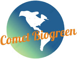 We advise on the selection of elite high yield jatropha planting materials. Comet Biogreen Malaysia S Premier Biomass Trading Company