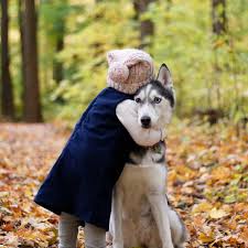 Maybe you would like to learn more about one of these? National Hug Your Dog Day