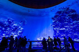Full Scale 360 Panorama Of The Great Barrier Reef Surrounds Visitors To The Panometer Great Barrier Reef Panorama Underwater World