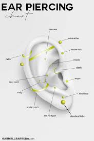Maybe you would like to learn more about one of these? 10 Epic Ear Piercing Ideas That Are Affordable Gabrielle Arruda