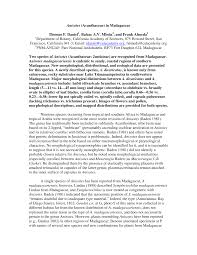 Image result for Anisotes formosissimus