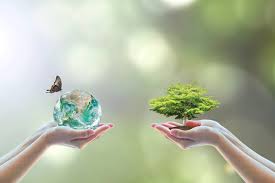 Climate Change and Insurance: Adapting to New Risks - Smartchoice.pk