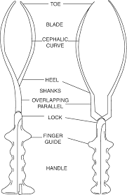 You can access the forceps and ventouse tutorial for just £48.00 inc vat. Instrumental Delivery Springerlink