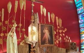 Do praktykowania nabożeństwa do matki bożej w „godzinie łaski zachęcił mnie pewien kapłan. Bdowyg4hhckz8m