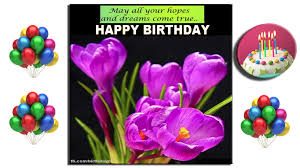Purple happy birthday flower cards birthday greeting. Purple Flowers Birthday Greeting Cards Flowers Birthday Greeting