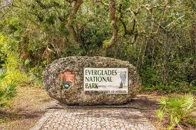 Create a trip to save and organize all of your travel ideas, and see them on a map. Everglades National Park The Complete Guide For 2021 With Map And Images Seeker