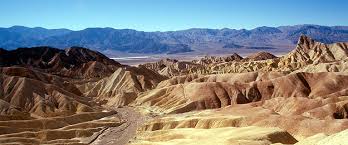 Life Thrives In Death Valley American Forests