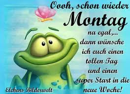 Der montag ist eine gelegenheit, etwas neues zu tun. Montag Ja Wie Soll Es Da Sein Guten Morgen Bilderchen Facebook