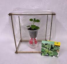 Best lean to greenhouse kits. Diy Tabletop Greenhouse With Gardening Q A Denver Public Library