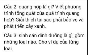 Giải bài 1 trang 45 sách bài tập sinh học 6: Cau 2 Quang Há»£p La Gi Viáº¿t PhÆ°Æ¡ng Trinh Tá»•ng Quat Cá»§a Qua Trinh Quang Há»£p Giáº£i Thich Táº¡i Sao Pháº£i Báº£o Vá»‡ Va Phat Triá»ƒn Cay Xanh Cau 3 Sinh Sáº£n