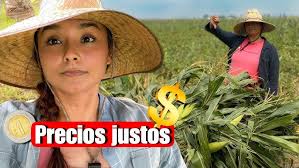 ESTE PUEDE SER EL ÚLTIMO AÑO DEL CAMPO 🇲🇽 GUARDANDO NUESTRO ALIMENTO ! 🌽 