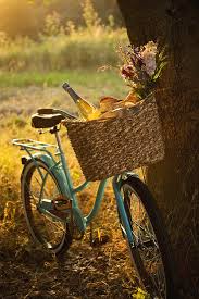 We did not find results for: Retro Bicycle With Wine In Picnic By Nightanddayimages