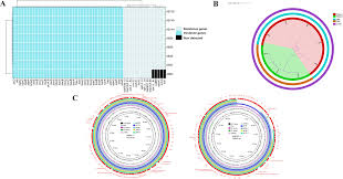 Image result for Striga baumannii