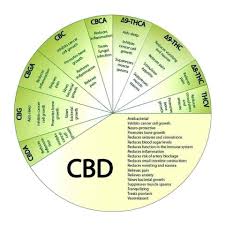 An Excellent Chart To Show In 2020 Cannabinoids Bone Infection Treat Cancer