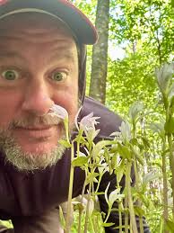 Identifying birds at wood's edge in Montgomery County