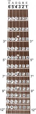 guitar note chart e major chord b major chord