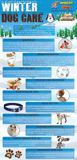 Infographic Winter Dog Care Dog Care Tips Dog Care Winter Dog