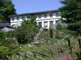 Things to do near botanical garden (botanischer garten). Botanischer Garten Bern
