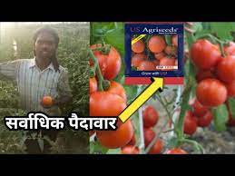 For more information see the usda organism and pest permits page. à¤¸à¤° à¤µ à¤§ à¤• à¤ª à¤¦ à¤µ à¤° à¤¦ à¤¨ à¤µ à¤² à¤¹ à¤‡à¤¬ à¤° à¤¡ à¤Ÿà¤® à¤Ÿà¤° Sw 1502 Youtube