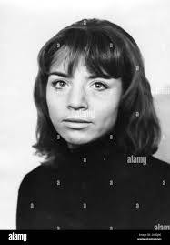 Harry Walden's Instagram, Twitter & Facebook