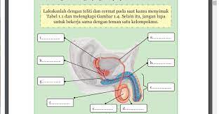 We did not find results for: Koewfof3rhrc9m