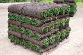 Start planning a few weeks before you're ready to lay the new sod. When Is The Best Time To Lay Sod A Green Hand