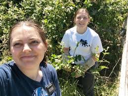 Free church volunteer services for community help