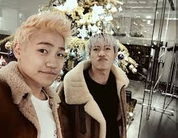 ボード gene のピン