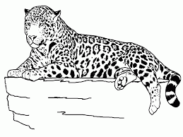 321 83 kb 1480 x 2000 source. Cute Easy Cute Cheetah Coloring Pages Novocom Top