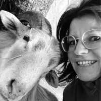 100+ "Vroman" profiles