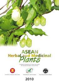 #kulatmatababi#cendawanmatapelanduk#organiccollagen#borneojungle#wildmushroom#cooking#bizzarefoodcendawan yang berupa jely ini hanya akan tumbuh di bawah. Asean Herbal And Medicinal Plants