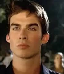 Elena and Damon's Love Story in The Vampire Diaries