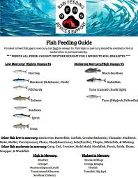 Fish Feeding Guide Raw Feeding Advice And Support Raw
