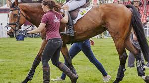 Maîtres de leurs disciplines respectives, isabell werth et michael jung restent sur le toit du monde. Grooms The Unsung Heroes Of Equestrian Sports Eurosport