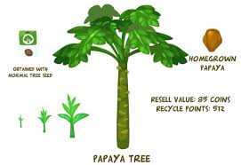 Fish in a tree summary. Papaya Tree Pet Society Wiki Fandom
