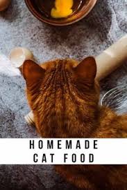 Here's how to bathe a cat with a minimal amount of stress for both of you. Cat Meow Lovecatmeow Profile Pinterest