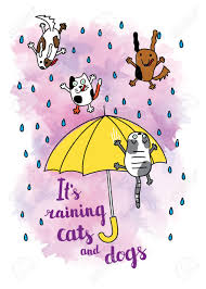 With tenor, maker of gif keyboard, add popular raining cats and dogs animated gifs to your conversations. It S Raining Cats And Dogs Autumn Card Falling Raindrops And Royalty Free Cliparts Vectors And Stock Illustration Image 109723607