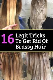These Diy Tips Will Get Rid Of Brass And Keep Your Blond Beautiful Brassy Hair Diy Hair Toner Brassy Blonde Hair