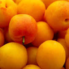 Find out which is better and their overall performance in apricot. Plum Apricot Cross Enjoys Sweet Success The Spokesman Review