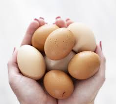 Selling fresh back yard eggs. Never Run Out Of Eggs With Backyard Chickens Chickens In The Six
