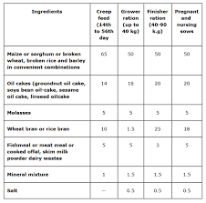 Information About Pig Farming In Kenya Modern Farming Methods